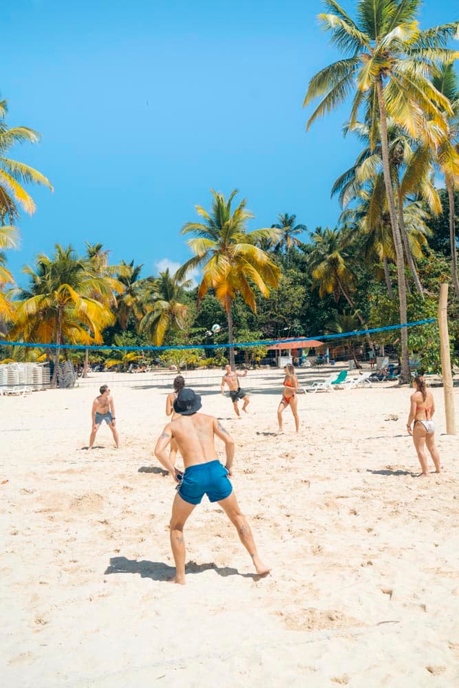 A group playing beach volleyball between the palm trees