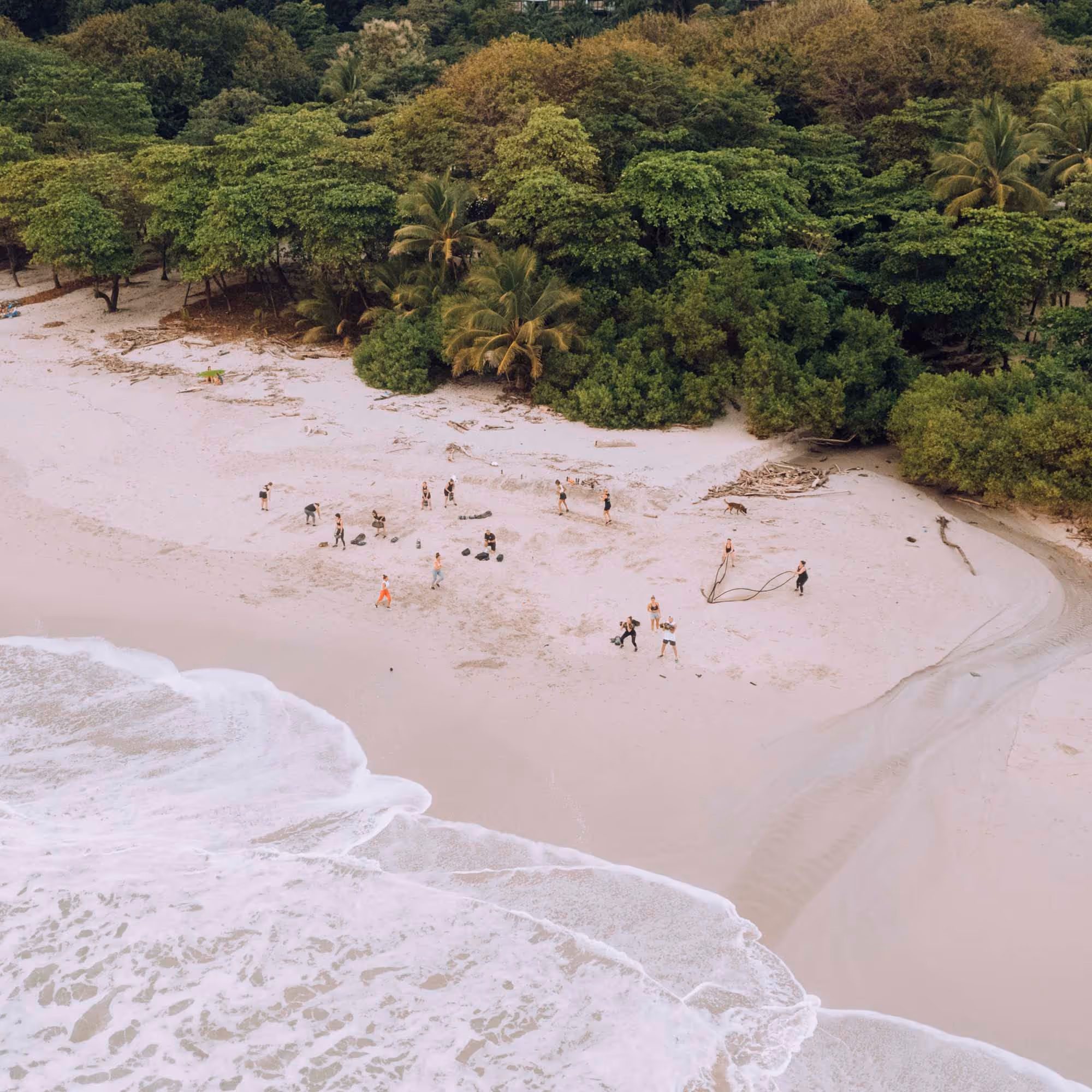 Santa Teresa